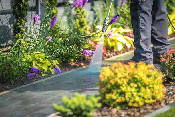 Best Sidewalk and Walkway Cleaning  in Olivette, MO